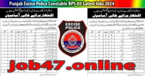 Punjab Excise Police Constable BPS-05 Latest Jobs 2024